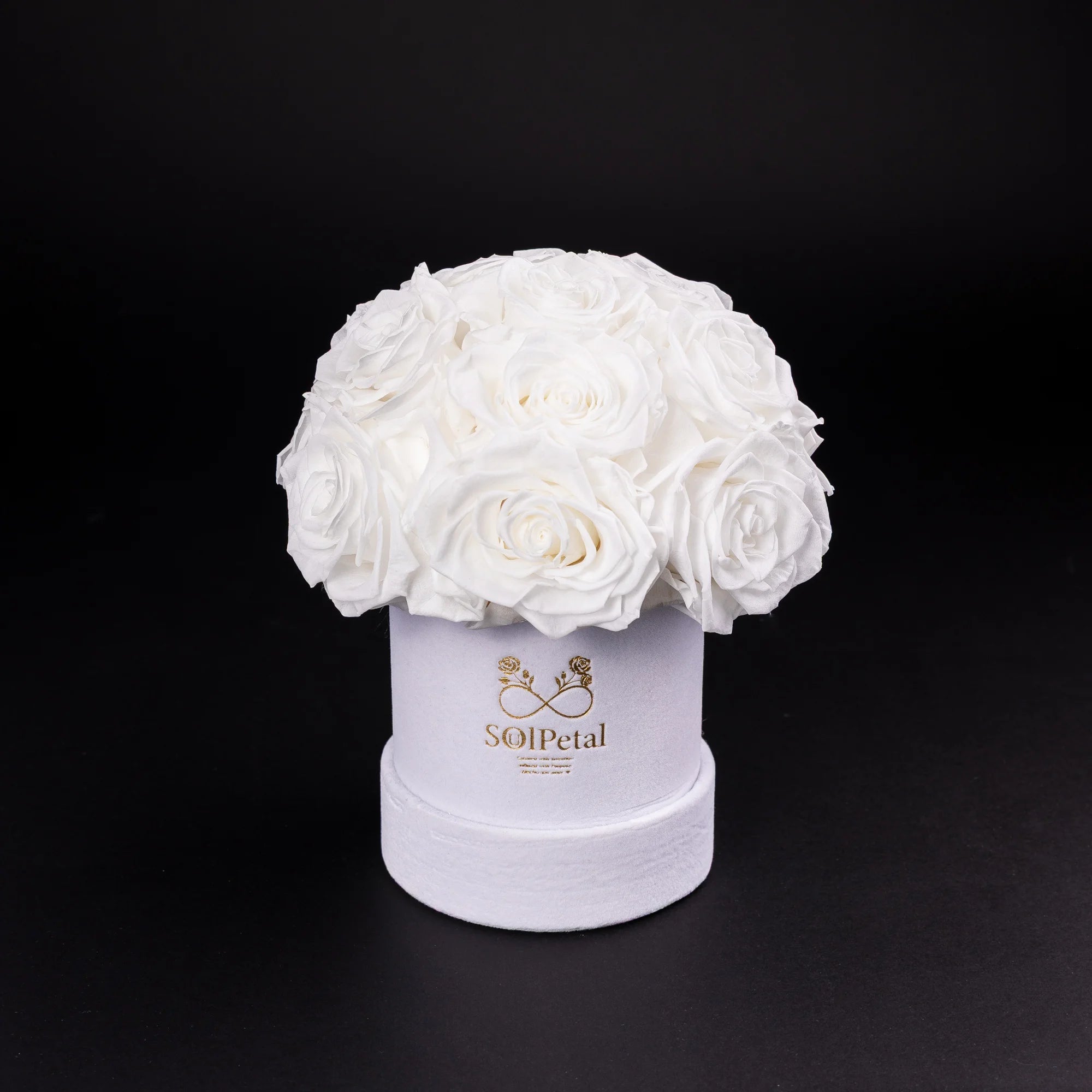 Preserved rose in a medium dome Soul Petal gift box with the logo centered on the bloom